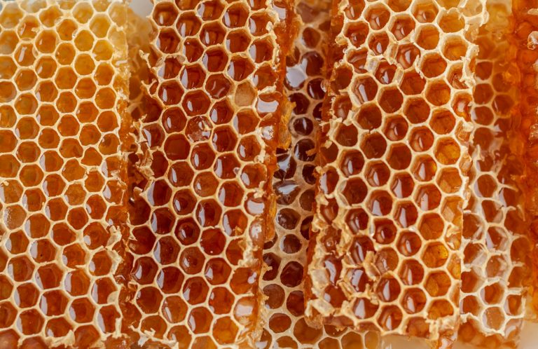Honeycomb frames with honey - food and commodity trading in Dubai