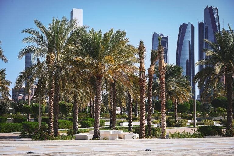 Abu Dhabi skyline with towers seen behind palm trees, illustrating the Abu Dhabi decision to extend Tajer licences allowing business without office premises