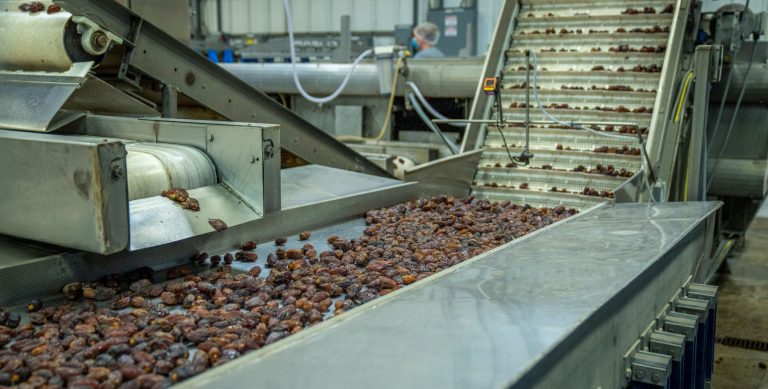 Industrial conveyor and sorting line inside a food processing factory, illustrating the Abu Dhabi food manufacturing joint venture of DSKZ International Investment and Sarveshwar Foods