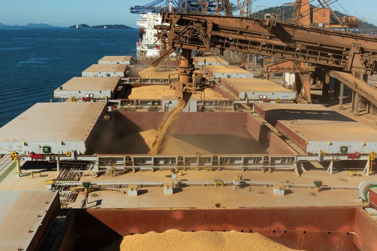 Grain loaded into the hold of a bulk carrier at an agri-bulk export terminal, the type of port terminal AD Ports Group acquired in Brazil with CLI