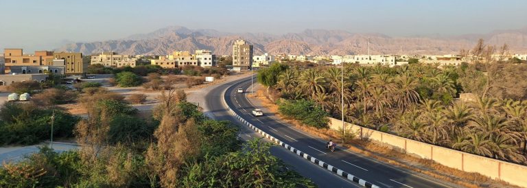 Two-lane road curving through a palm-lined residential district with mountains in the background