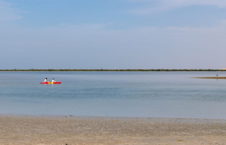 Calm lagoon in Umm Al Quwain with a kayak and a line of mangroves on the horizon, the coastal setting of Siniya Island
